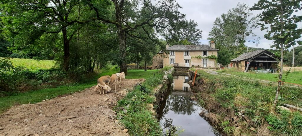 Moulin de Céor août 2022